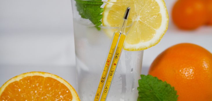 Vitamin C haltige Früchte Orange und Zitrone mit Glas